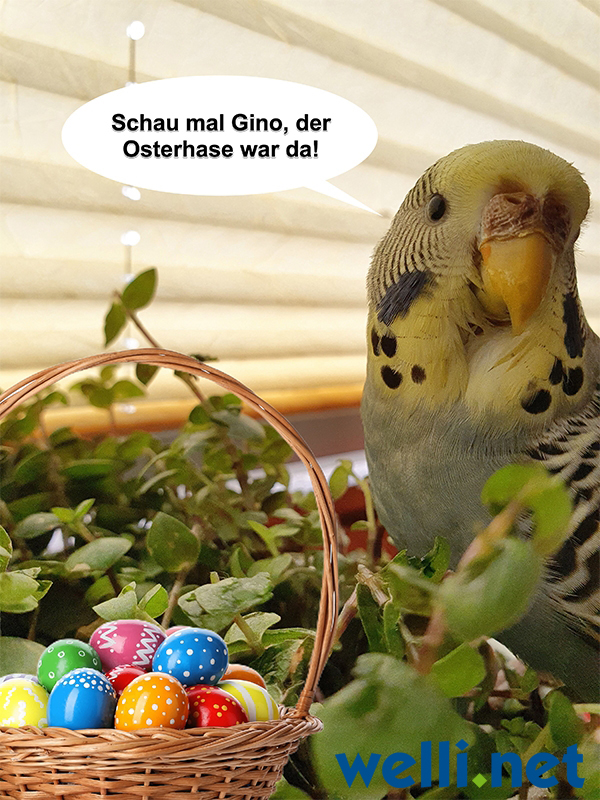 Frohe Ostern an alle