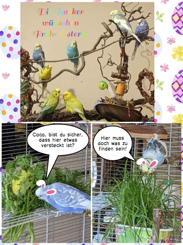 Wir wünschen allen Wellinettern eine schöne Osterzeit