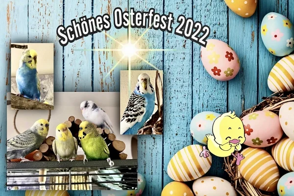 Herzliche Ostergüsse und ein fröhliches Eiersuchen! Möge es vor allen Dingen Freude und Entspannung bringen. 