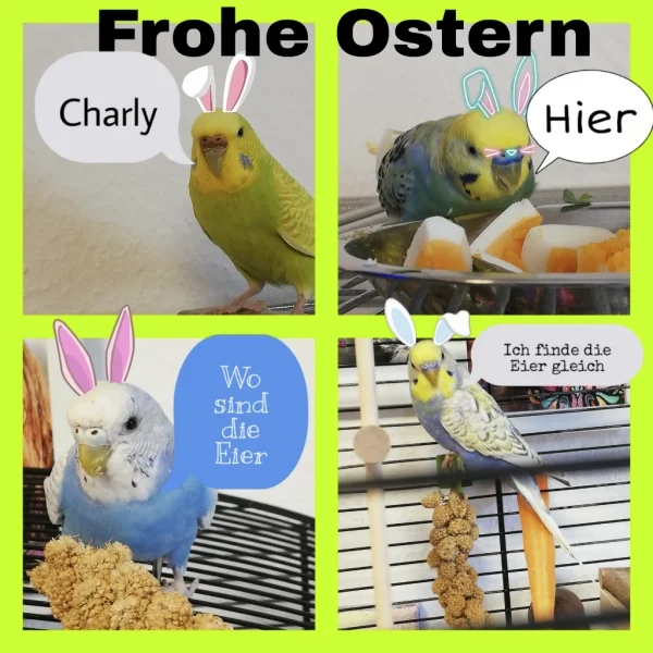 Wir wünschen frohe Ostern 