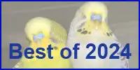Best of 2024 - zwei schlafende Wellis