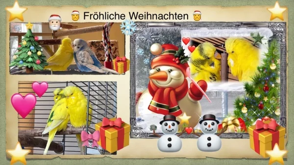 Weihnachten-Das Fest der Liebe ist nun da. Funny und Eddie nebst ihrer Felo wünschen eine friedvolle und fröhliche Weihnachtszeit.