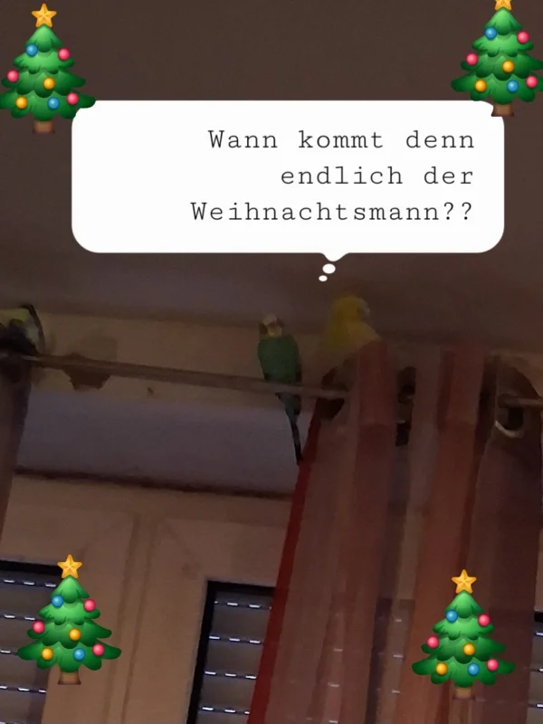 Warten auf die Geschenke. Wir wünschen frohe Weihnachten.