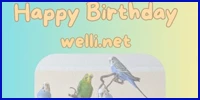 Happy Birthday welli.net mit einer Gruppe Wellis