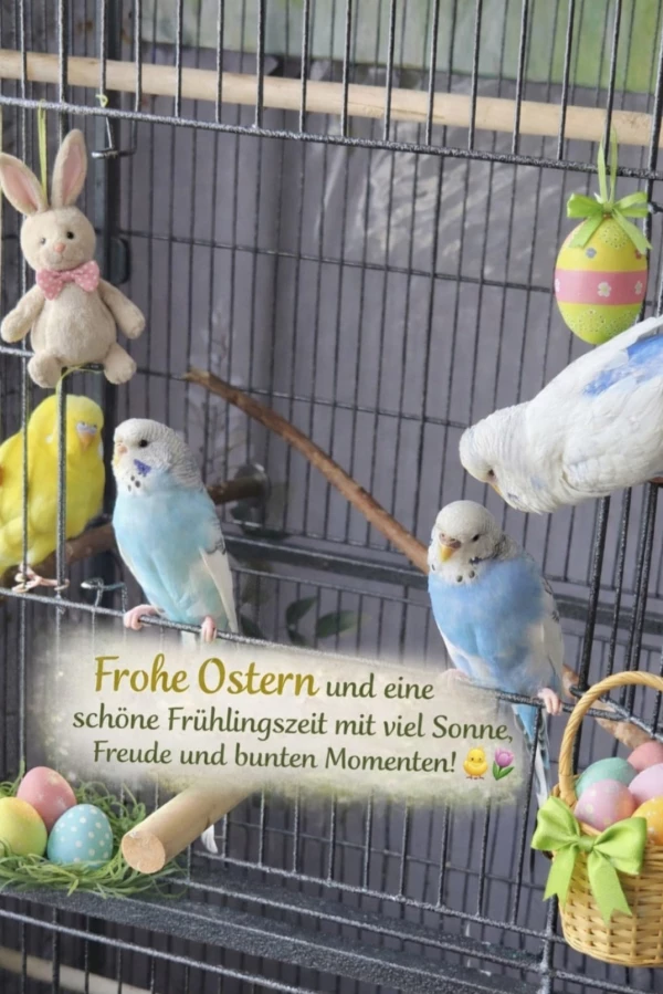 Ein frohes Osterfest allen Piepsies und Felos