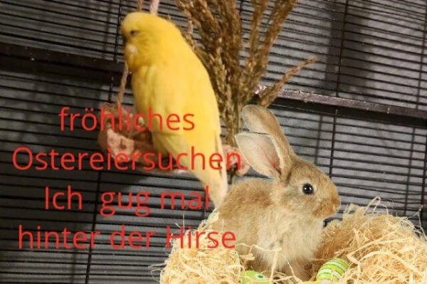 Limone wünscht allen ein schönes Ostterfest.
