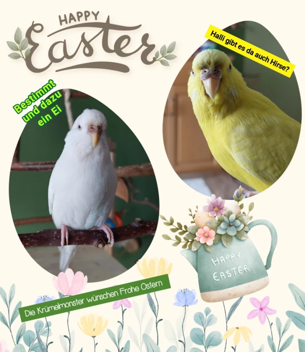 Frohe Ostern wünschen die Krümelmonster und ihre Felo.