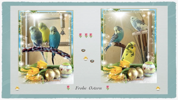 Das Berliner Dreier-Team wünscht zusammen mit ihrer Felo ein frohes Osterfest.