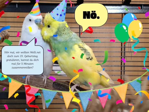 Happy Birthday von Sasu und Tchio, den Krawallieren!