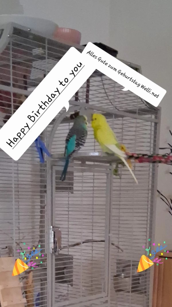 Schnellvertetend für die Flauschbällchens gratulieren Shiela und Barney zum Geburtstag.