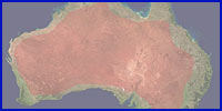Wellensitiche aus Australien