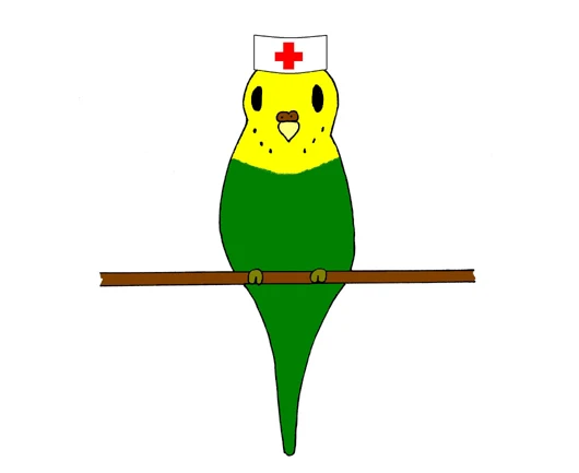 Vogel-Krankheiten - Comiczeichnung Welli-Krankenschwester