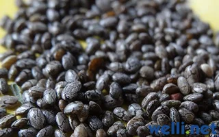Chia