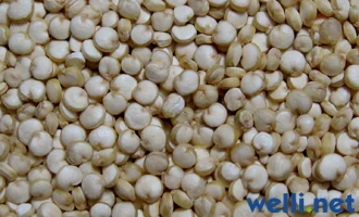 Quinoa