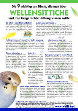 Infoblatt Wellensittiche