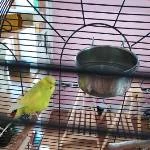 Neo sucht einen neuen Kameraden Bild 1