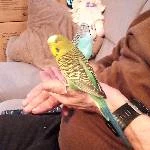 Wellimädchen (6) sucht neuen Anschluss Bild 1