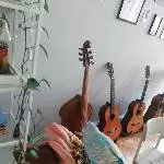 Zugeflogener handzahmer Wellensittich sucht dringend Zuhause mit viel Freiflug und PartnerIn! Bild 1