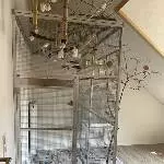 Wellensittiche (optional mit Voliere) zur Abgabe  Bild 8