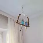 2 Wellis suchen dringend ein neues zu Hause. Bild 1