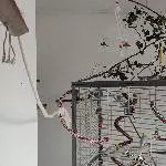 Männer Welli-WG sucht neues Zuhause Bild 3