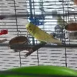 Timmy sucht ein neues schönes Zuhause Bild 1