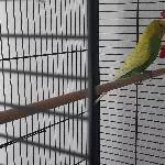 Timmy sucht ein neues schönes Zuhause Bild 3
