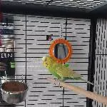Timmy sucht ein neues schönes Zuhause Bild 2