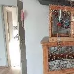 Patchworkfamile sucht neues Zuhause Bild 1
