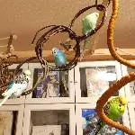 Welli-Senioren suchen Altersresidenz Bild 1