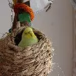 Lemon sucht neue Freunde Bild 4