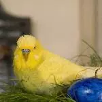 Lemon sucht neue Freunde Bild 1