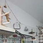 DRINGEND 6 Wellis mit Zubehör Bild 4
