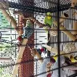 Hans-Peter und Lemon suchen ein neues zuhause Bild 1