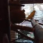 Ein Pärchen 3 Jahre sucht ein neues zu Hause Bild 6