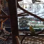Ein Pärchen 3 Jahre sucht ein neues zu Hause Bild 5