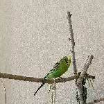 Neo sucht ein neues Zuhause Bild 2