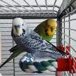 Test-Vermittlung für interne Zwecke Bild 1