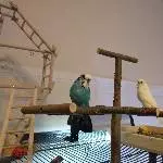 Molly und BB Bild 4