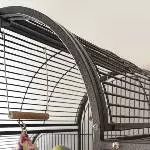 Männlicher fröhlicher Wellensittich Morty sucht ein neues Zuhause Bild 2