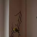 Suche neues Zuhause Bild 1