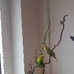 Suche neues Zuhause Bild 3