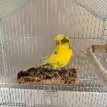 Theo sucht neue Freunde Bild 1