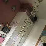 Wellensittich Paar Bild 3