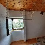 5 Wellis suchen ein neues Zuhause Bild 6