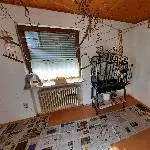 5 Wellis suchen ein neues Zuhause Bild 4