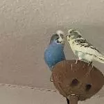 Rosi und Rudi suchen ein neues Zuhause Bild 1
