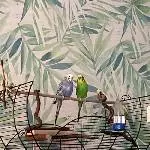 Clara & Benni suchen liebes zuhause Bild 1