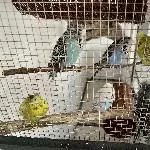 Bestandsauflösung Bild 2