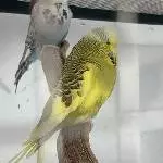Bestandsauflösung Bild 3